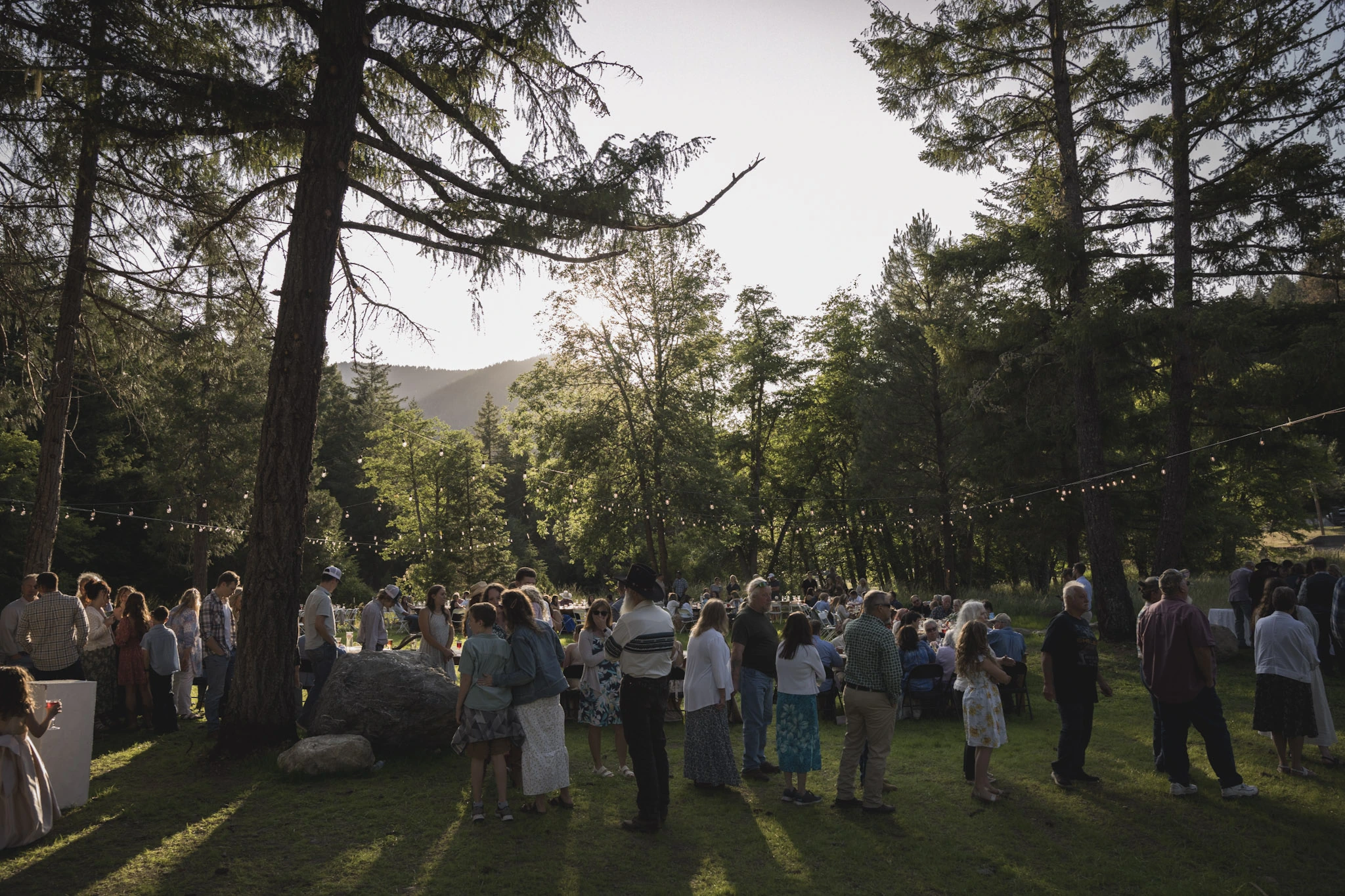 Guests gathered beneath the trees at Living Springs