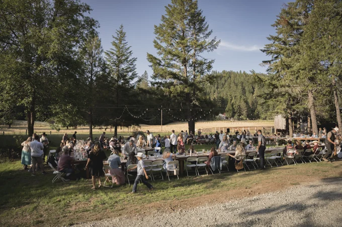 Wide view of reception tables and guests in a tree-lined meadow